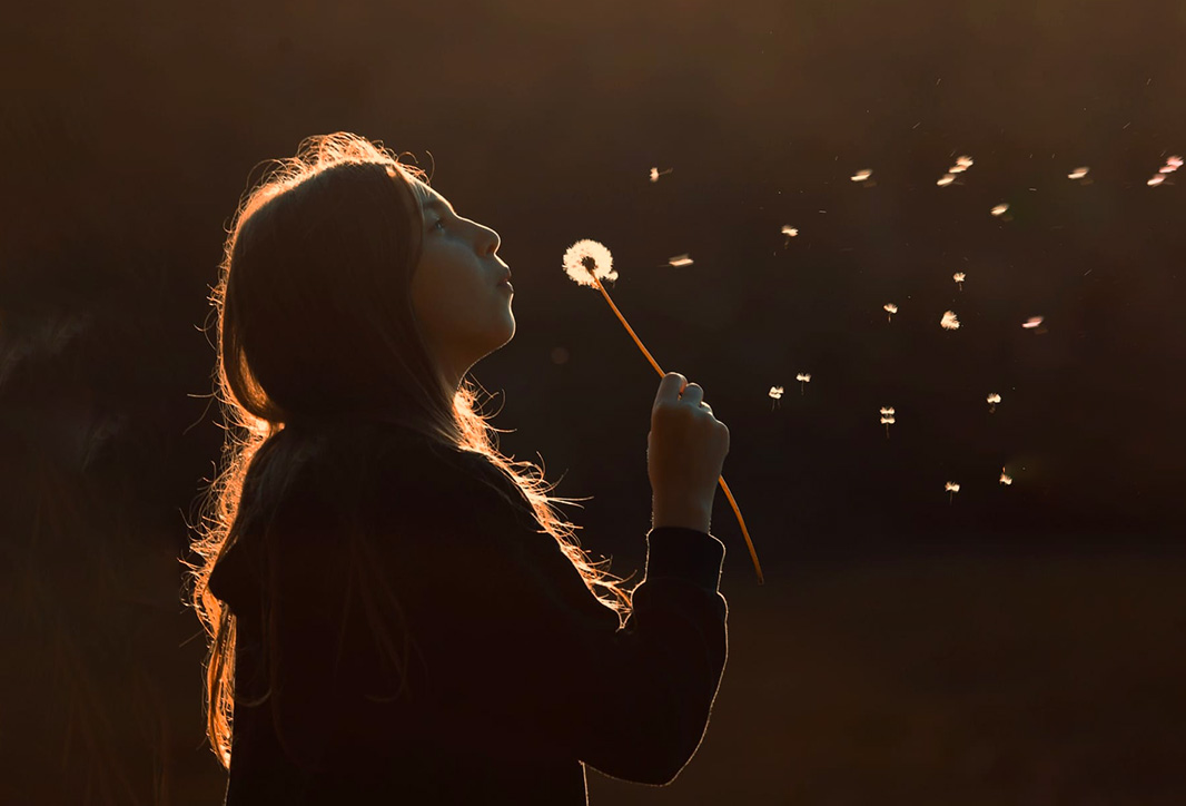 Services Photos — Photographe professionnel Paris